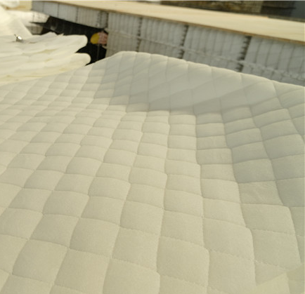 1754735531858968.png 重庆海绵3.png